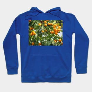 Kumquat tree Hoodie